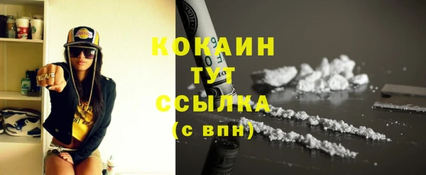 стафф Арсеньев
