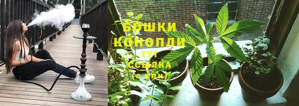 MESCALINE Аркадак
