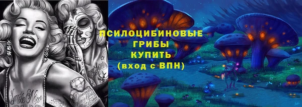 стафф Арсеньев