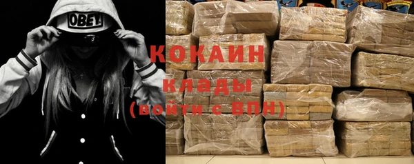 стафф Арсеньев